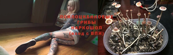 МДМА Новозыбков
