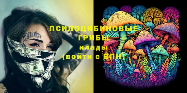 МДМА Новозыбков