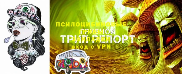 МДМА Новозыбков