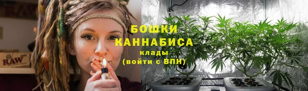 МДМА Новозыбков