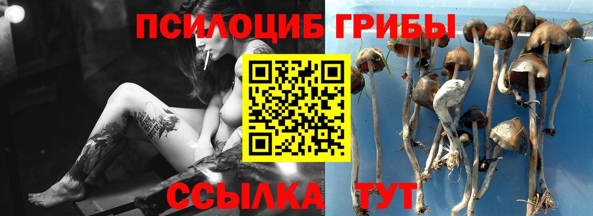 Псилоцибиновые грибы ЛСД Куйбышев